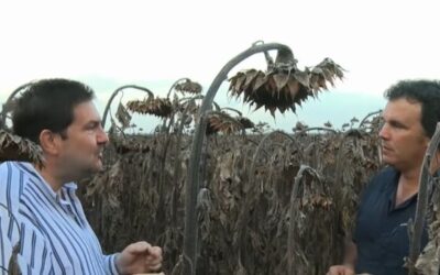 “Bumper Crop”, el productor argentino que se viste de farmer