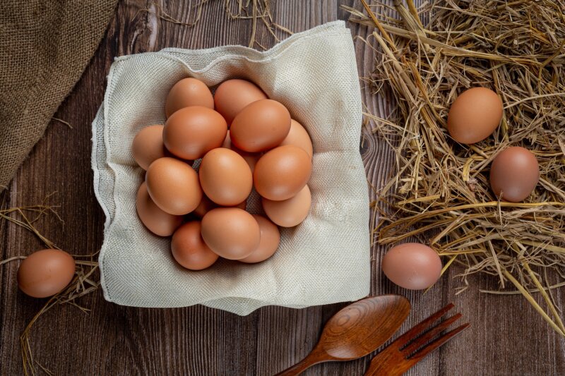 Semana Mundial del Huevo: ¿Cuáles son sus beneficios para la salud?
