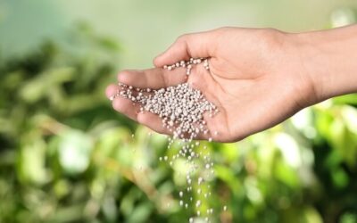 ¿Evolucionamos en la aplicación de fertilizantes sólidos en Argentina?