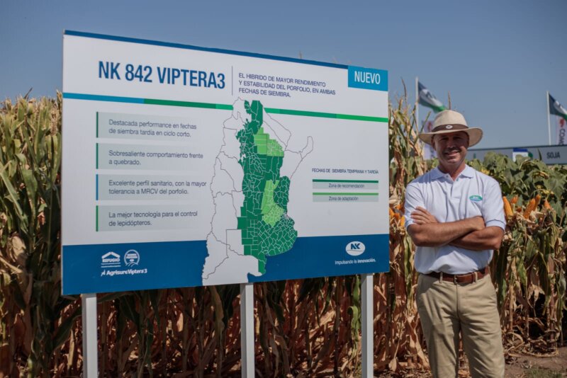 NK presenta un porfolio rendidor con tres nuevos híbridos de maíz