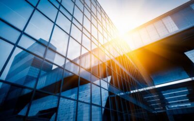 La Encrucijada Empresarial: ¿Especialización o Diversificación?