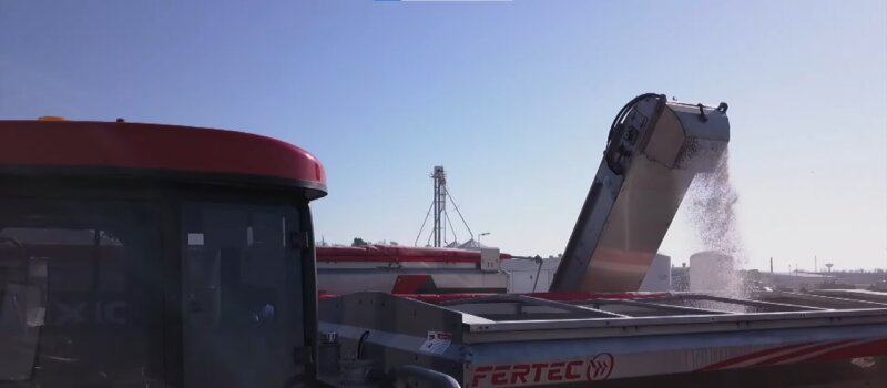 Campaña 2024-2025 con gran oferta de maíz y soja