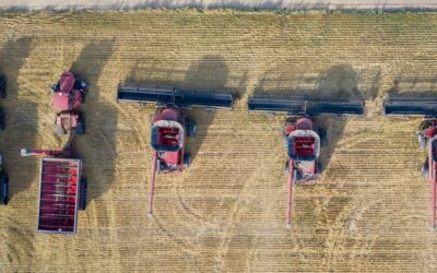 La postventa como marketing