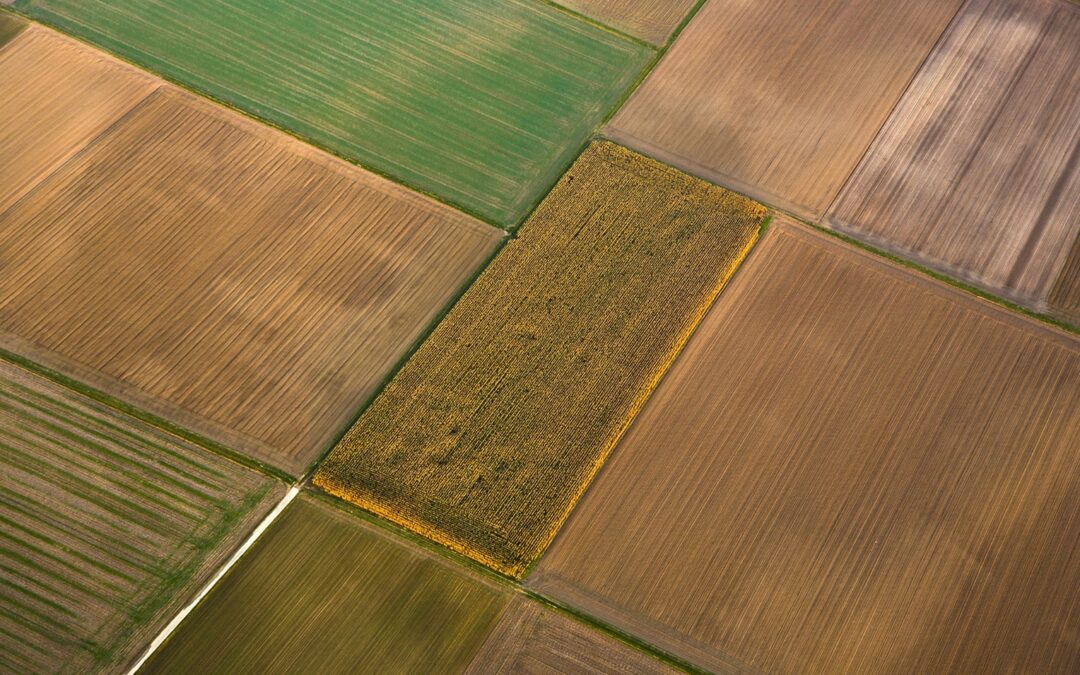 La Rotación “All Seasons”