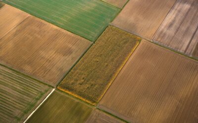 La Rotación “All Seasons”