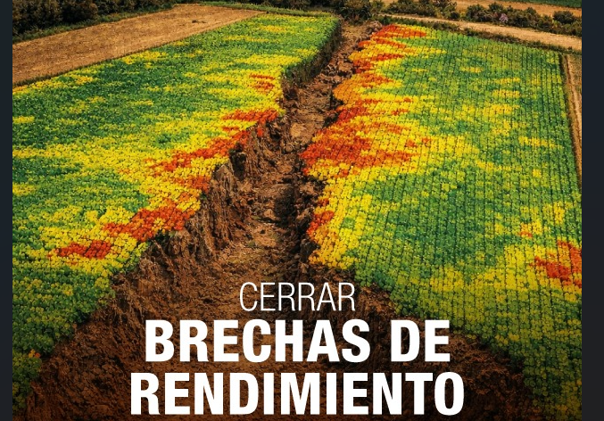 Cerrar brechas de rendimiento