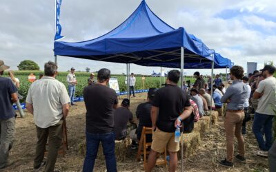 BASF: “Por amor a la Agricultura, el trabajo más valioso sobre la tierra”