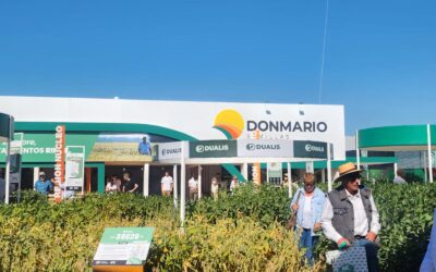 DONMARIO y un portfolio estratégico en Trigo