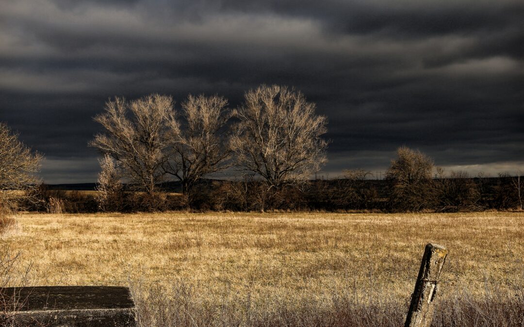 Lluvias erráticas en pleno período crítico