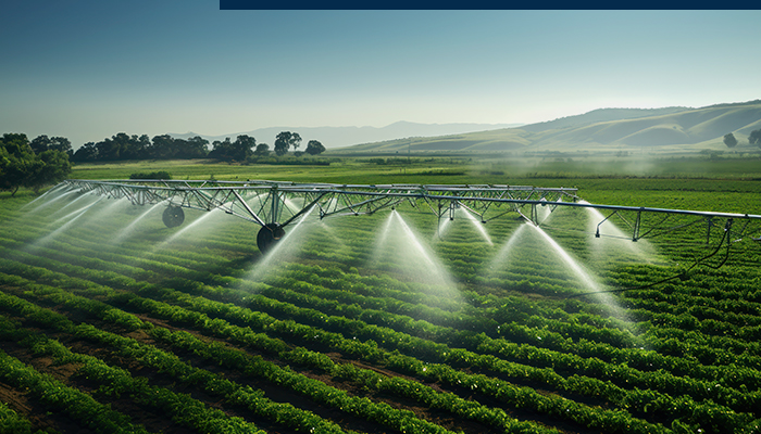 El Salto del Siglo: Riego, Reforma y la nueva frontera agroindustrial