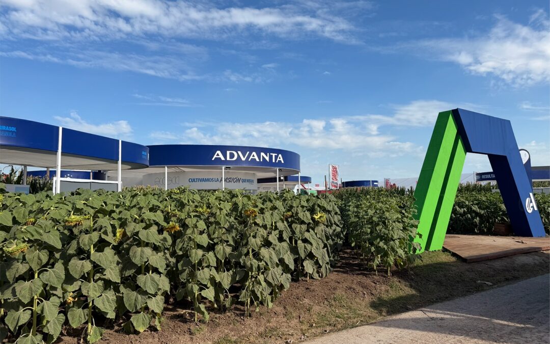 29 de abril: KM0 de Advanta, lo clásico funciona