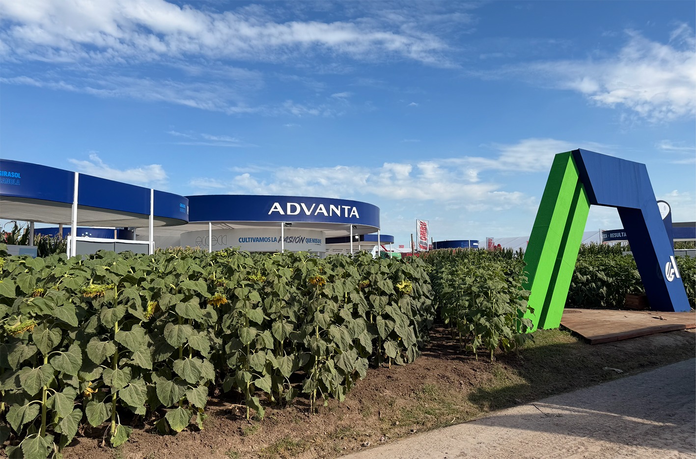 29 de abril: KM0 de Advanta, lo clásico funciona