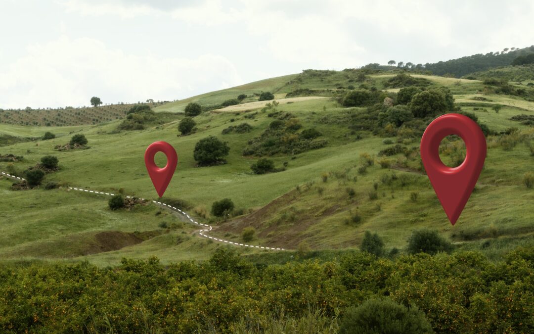 José Robetto: Lote Perfecto y el valor de “tener orejas grandes”