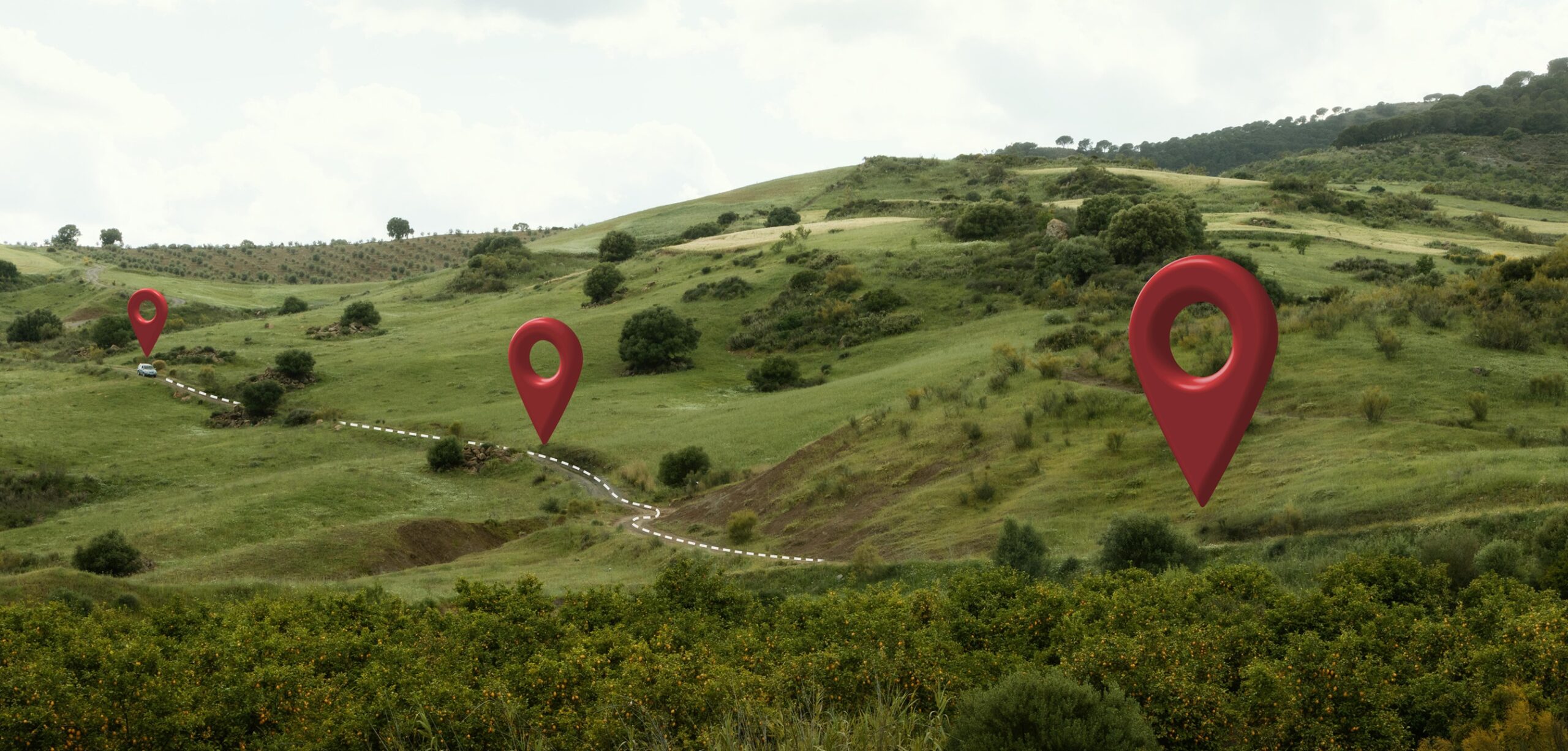 José Robetto: Lote Perfecto y el valor de “tener orejas grandes”