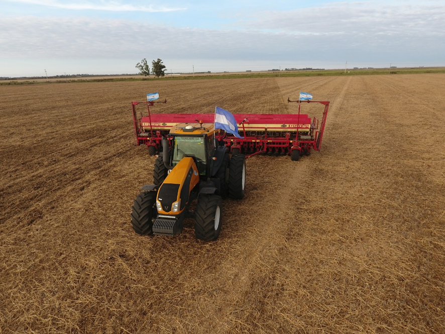 Trigo 2026: ¿Quién se lleva el premio?