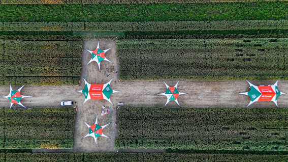 SUPRA Semillas realizará la primera parada del “SupraRoad 2026”