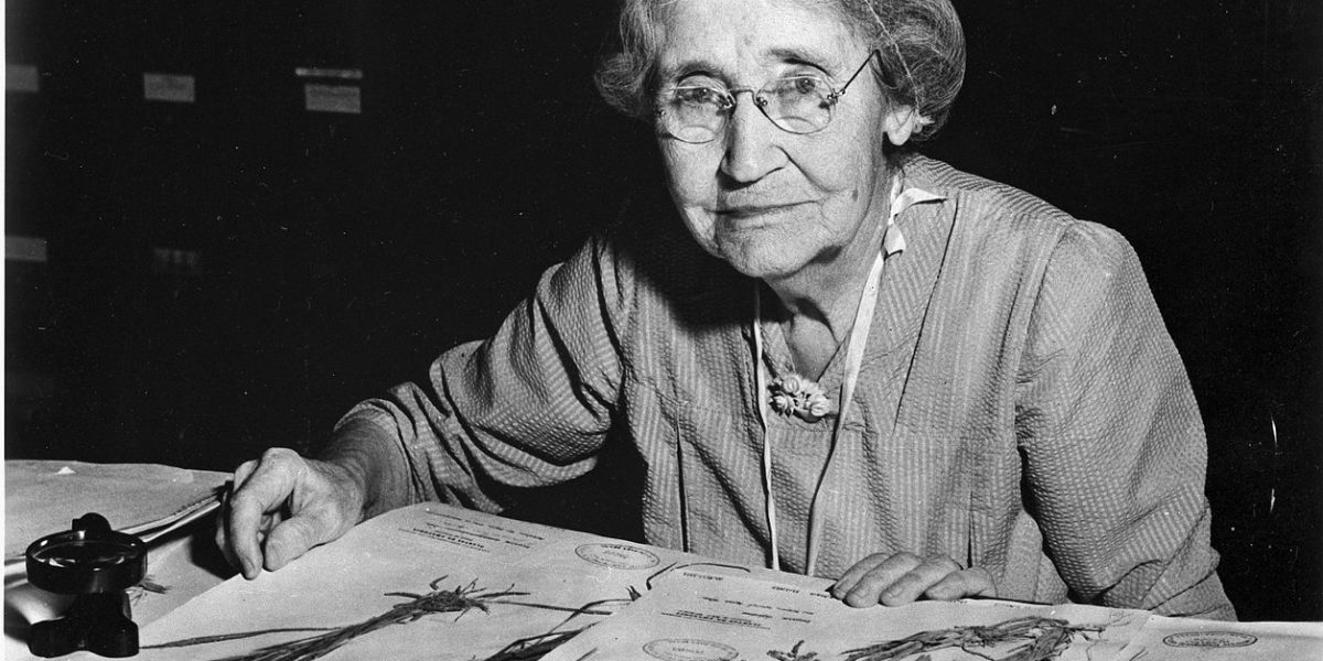 Mary Agnes Chase: La abuela de la botánica