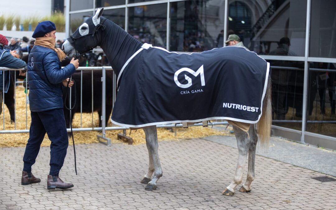 Impulsada por Cría Gama, Nutrigest debutó en las pistas de Palermo
