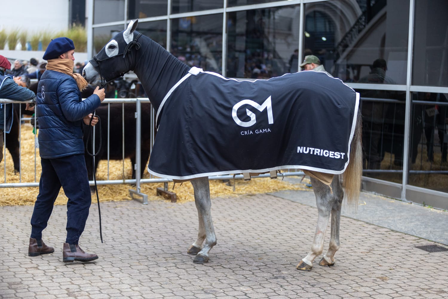 Impulsada por Cría Gama, Nutrigest debutó en las pistas de Palermo