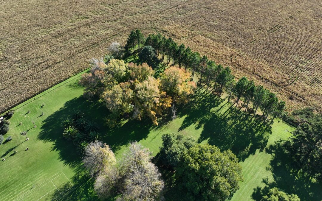 La Rosita, el emprendimiento agropecuario de la familia Zaccardi