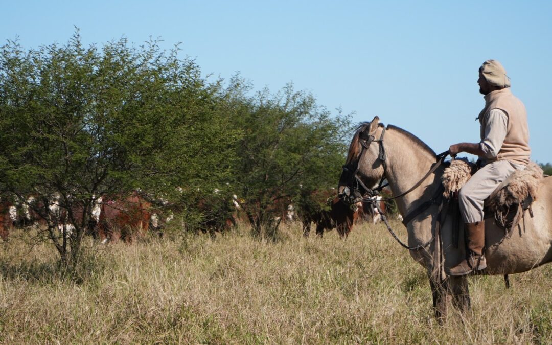 Juramento invierte USD 22,8 millones en la adquisición de un nuevo campo en Salta