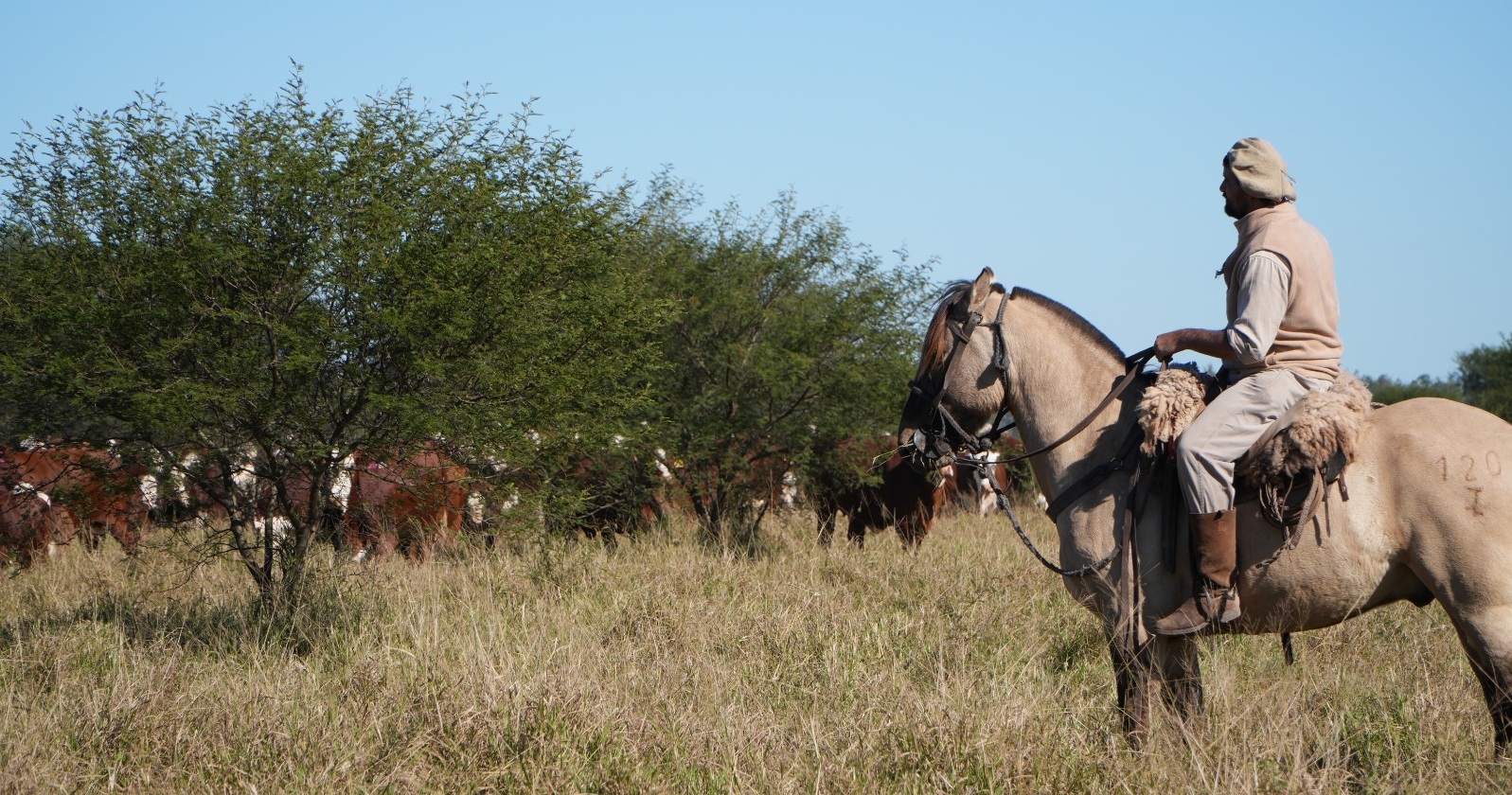 Juramento invierte USD 22,8 millones en la adquisición de un nuevo campo en Salta